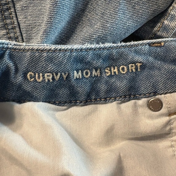 American Eagle Curvy Mom Shorts - Picture 3 of 3